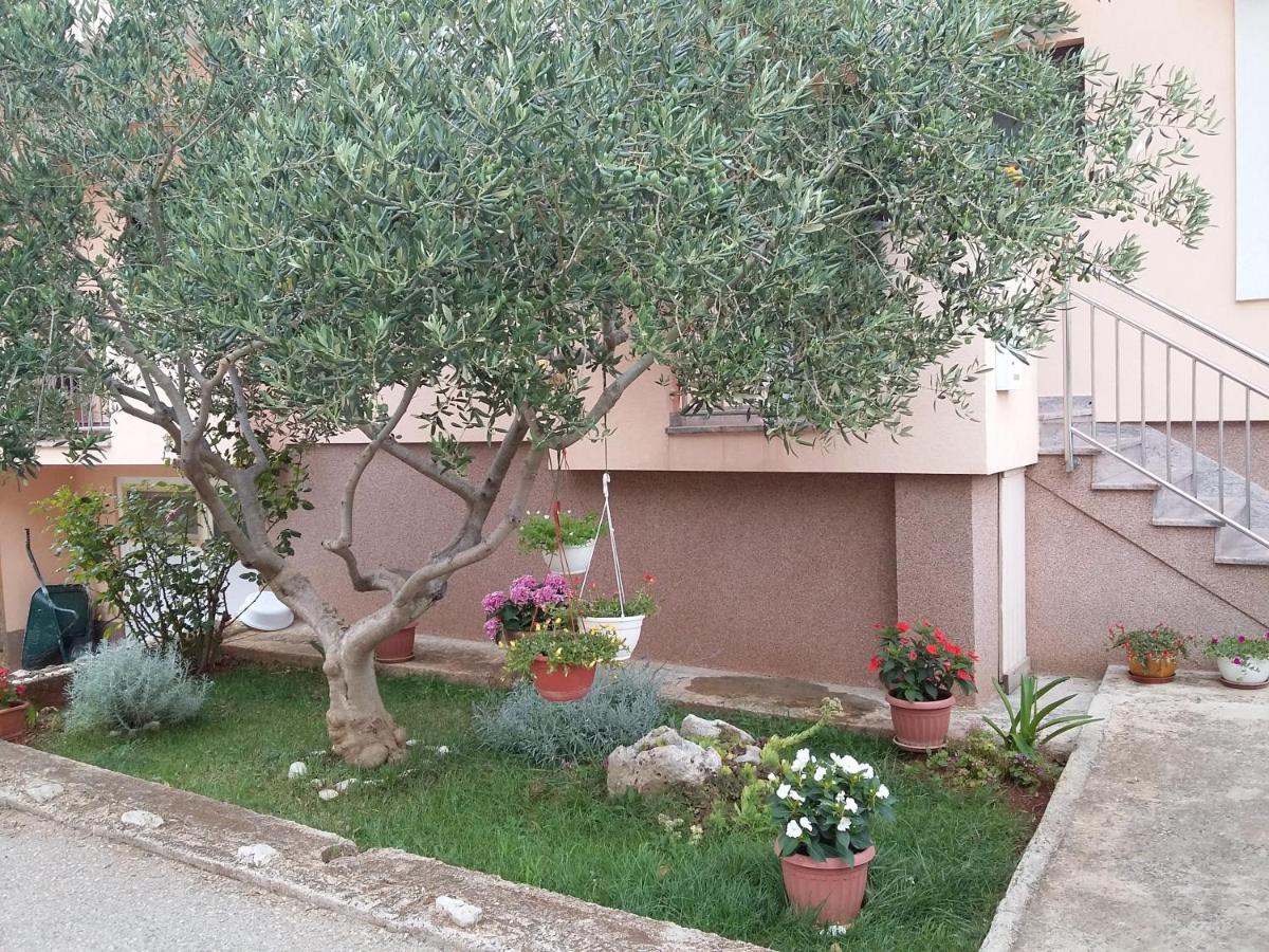 Apartments Ivan Zadar Exterior foto